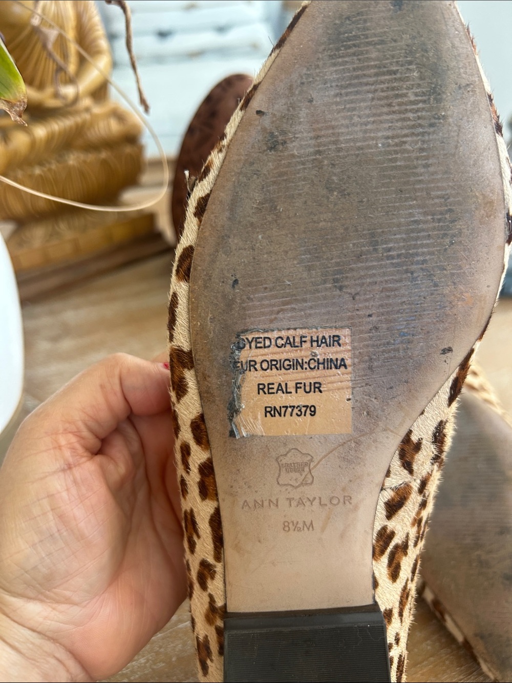 Ann Taylor Leopard-Print Pointed-Toe Flats — Brown/Cream - Picture 6 of 6
